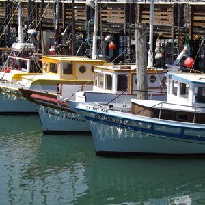 Meet your Posher, Retail Boutique